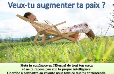 Un regard d'amour fait grandir notre humanité - Bruno