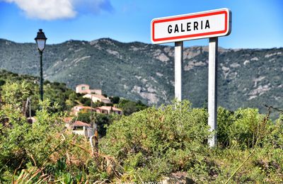 Petite balade au bord de l'eau à Galéria (2B)