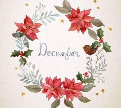 Decembre la boutique du Père Noel