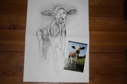 Oh, la vache !
