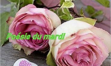  Poésie  le mardi 