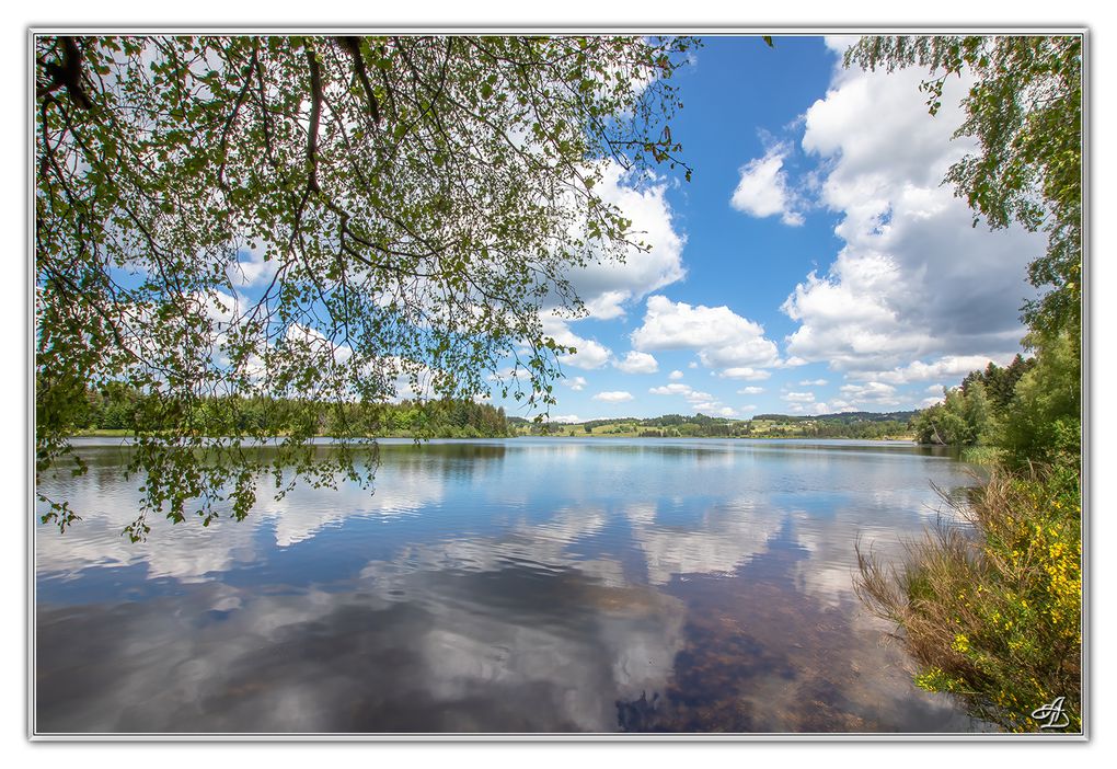 05 - Paysages