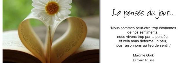La pensée du jour (239)