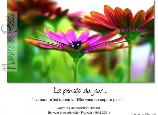 Citations en images : L'amour....