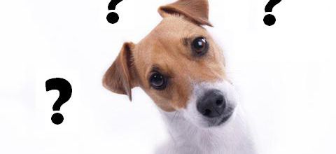 Se remettre en question