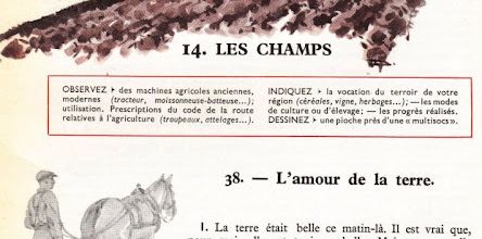 Dumas CM-CS S14 Les champs