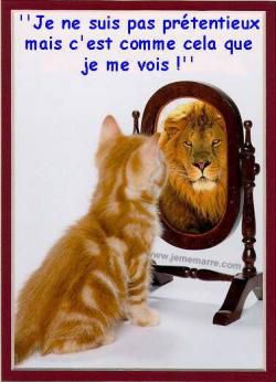Mon "Moi" et ma "Persona"