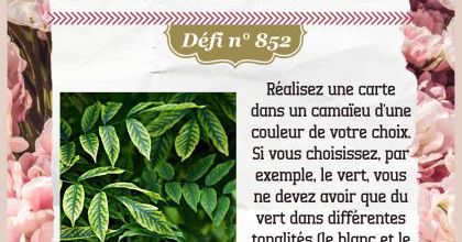 Passiion Cartes Créatives#852 !