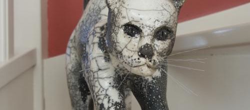 RAKU: LE CHAT SANS NOM