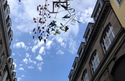 Ciel et ombrelles
