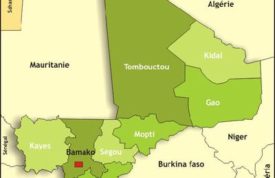 Mali: La SADI réclame un débat public sur la situation dans le nord