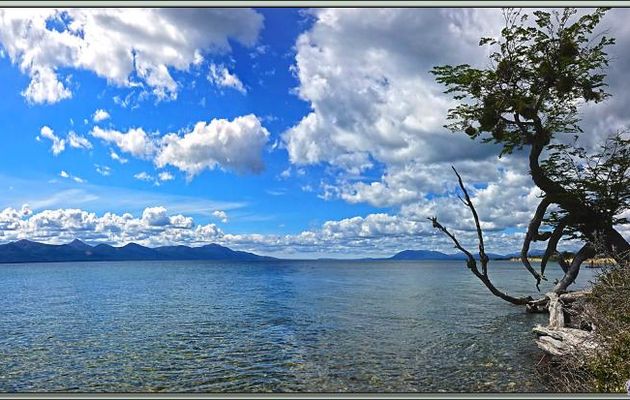 Lac Fagnano - Terre de Feu - Argentine