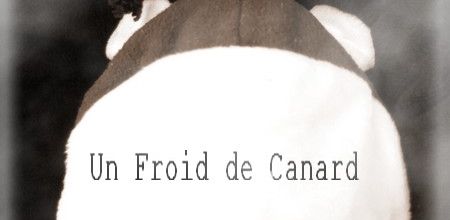 Un froid de canard