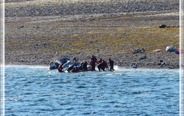 Les scientifiques étaient là pour capturer et étudier les narvals - Tremblay Sound - Terre de Baffin - Nunavut - Canada