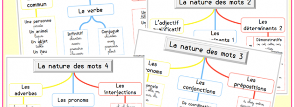 Cartes mentales : la nature des mots