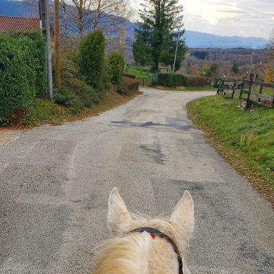 Le 14 novembre 2025 : Shiloh et moi