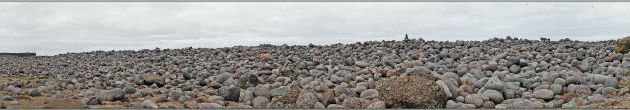 07/06/2023 : galets, Grands Corbeaux et petite flore vers les falaises de Reykjanesviti - Péninsule de Reykjanes - Islande
