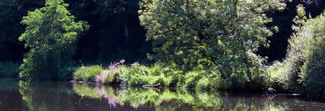 défi reflets d'Annie