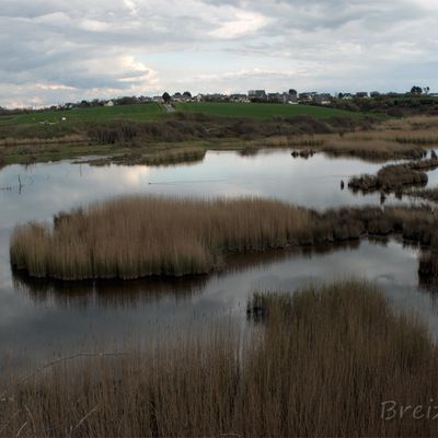 Marais du Petit Loc'h et du Grand Loc'h à Guidel