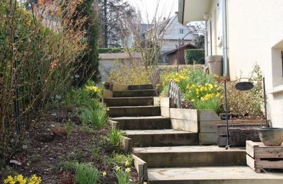 Prémices du printemps