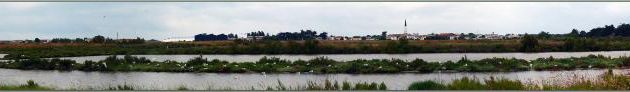 Panorama sur le village Ars-en-Ré vu à partir de "l'île aux mouettes" - Île de Ré - 17