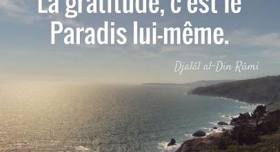 La puissance de la Gratitude