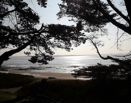 Pen bron sort de l'hiver