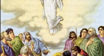 Homélie de la fête de l'Ascension - 28 mai 2017