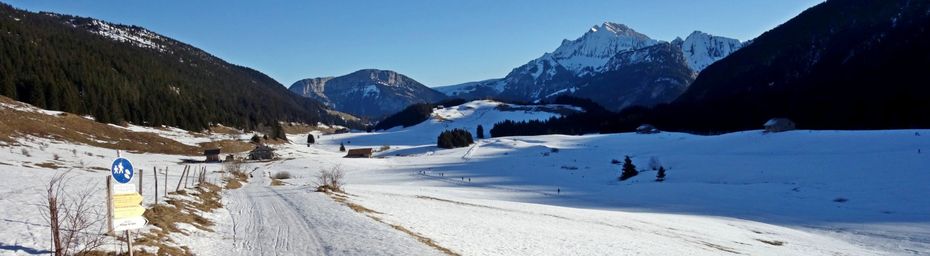 Au plateau des Glières