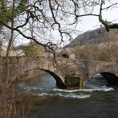 2025 : Retour journalistique