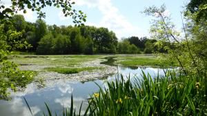 CR / RANDO 15 - RIONS - Lac de Laromet