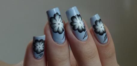 Fleur noire et blanche sur fond bleu