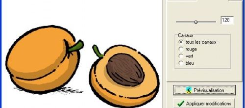 Transformer un clipart couleur en noir et blanc