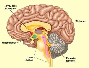 Conscience, "je" , "moi" et "soi" (1)