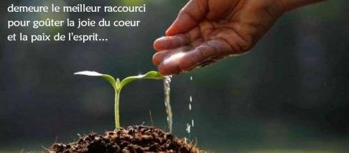 Prendre soin de la vie sous toutes ses formes