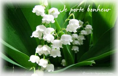 Un petit brin de muguet.....