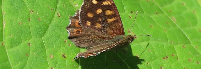 mes photos plaisir des yeux