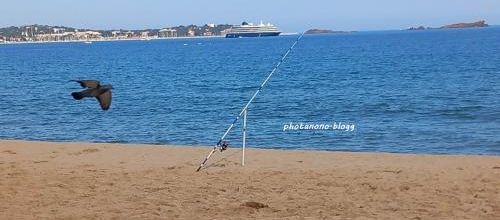 pêche au gros
