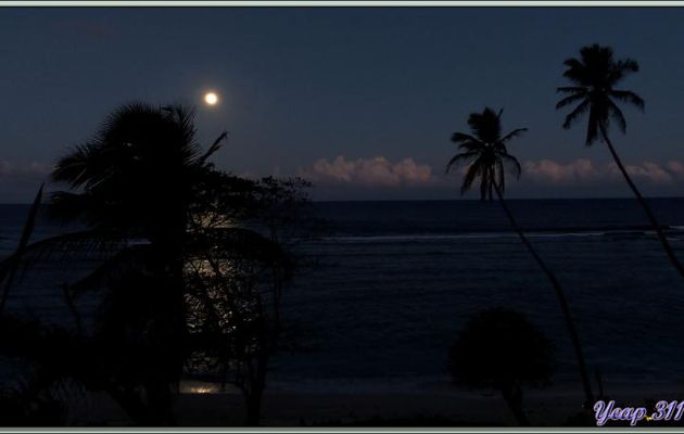 Nuit de pleine Lune sur Anse Forbans - Mahé - Seychelles