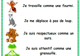 Chouette journée