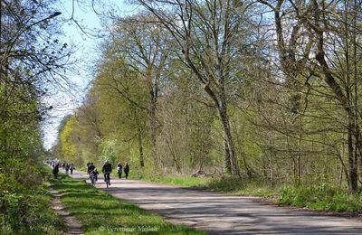 Histoire du Bois de Vincennes