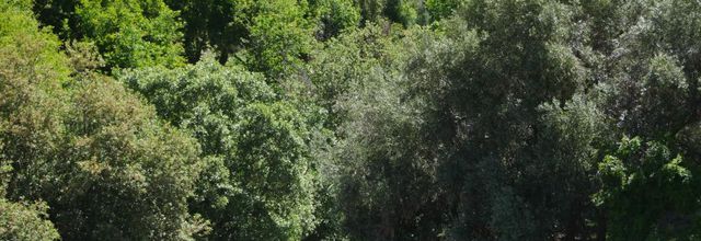  Sources de l'oued Oum Errabia 