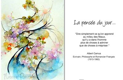La pensée du jour (267)