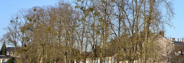 Rambouillet : Quelques clichés entre deux giboulées !! 