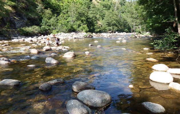 au bord du Tarn dans la Lozère