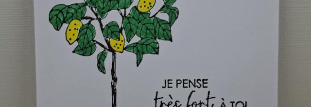 Joyeux Anniversaire ... 63