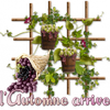 Cartonnettes - Vendanges !