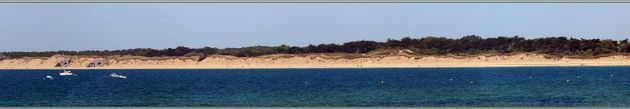 La plus belle plage de l'île de Ré : la plage de la Conche des Baleines - Saint-Clément-des-Baleines - Île de Ré - 17