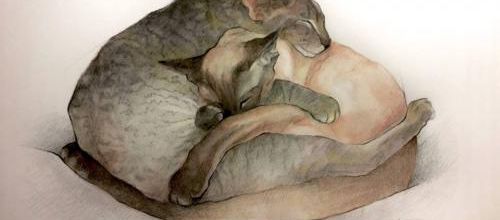 Tableau du samedi : Tendrement enlacés