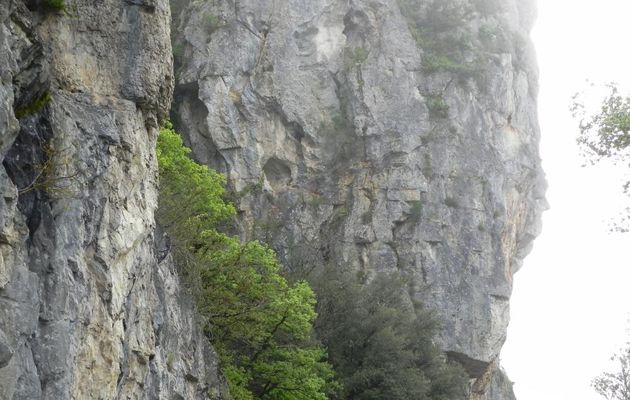 ma photo mystère ?